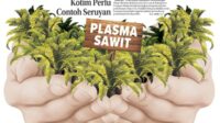 ilustrasi plasma sawit