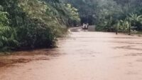 jalan trans terendam banjir