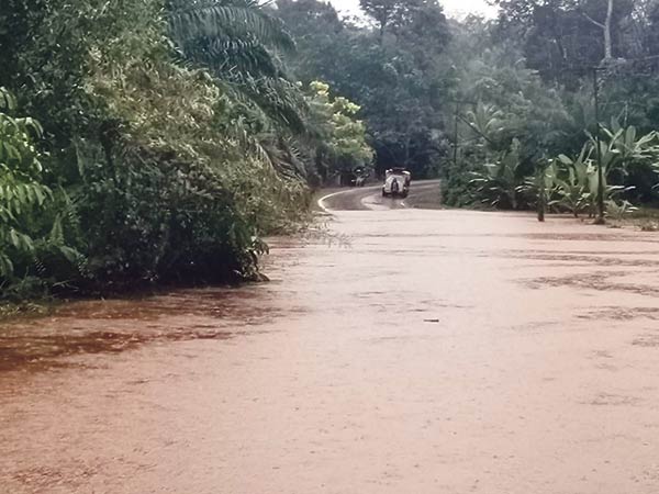 jalan trans terendam banjir