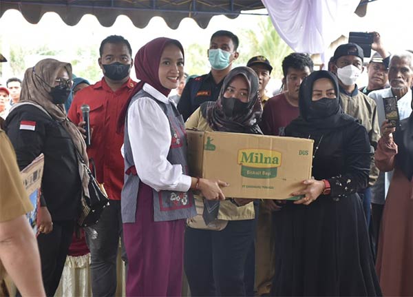 ketua tp pkk kalteng