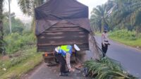 motor tabkak truk