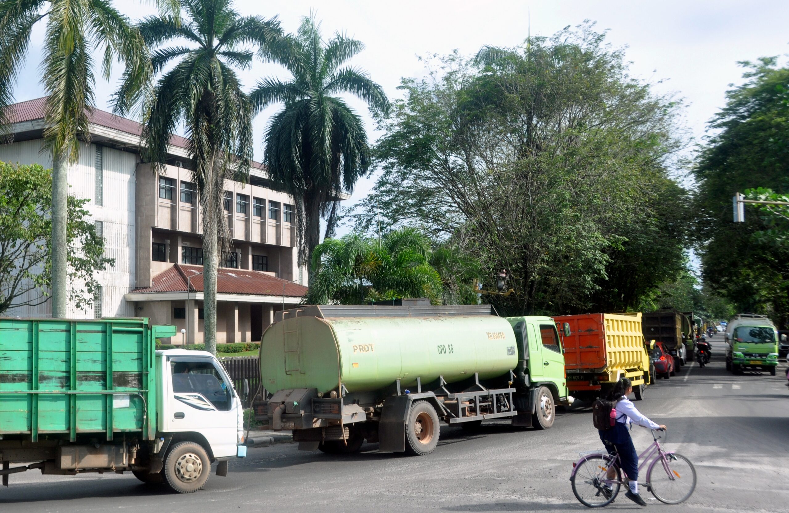 Dinas Perhubungan Kotawaringin Timur,angkutan,radar sampit,sampit,dishub kotim,sawit,perkebunan sawit,kebun sawit,harga sawit