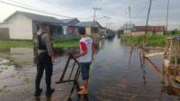 sungai kahayan,bpbd palangka raya