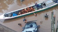 Pulang Pisau,Desa Pesanan,Desa Bahaur,berita pulang pisau,radar sampit,jembatan ambruk,jembatan roboh