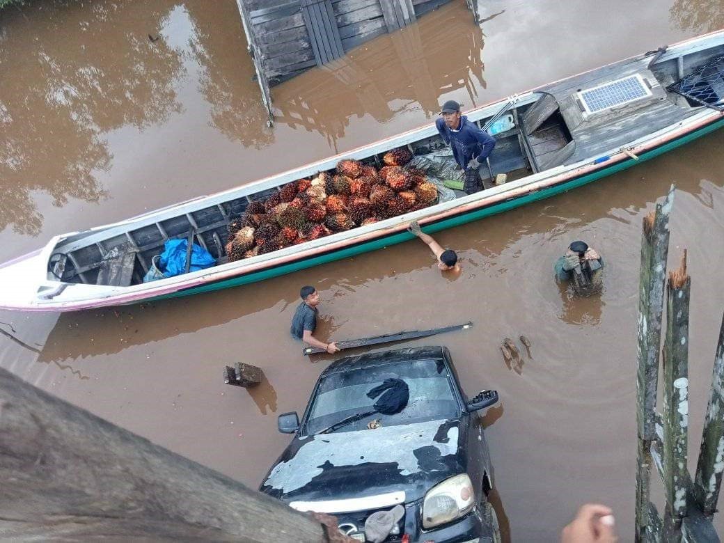 TERCEBUR Pulang Pisau,Desa Pesanan,Desa Bahaur,berita pulang pisau,radar sampit,jembatan ambruk,jembatan roboh