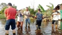 piton banjir foto