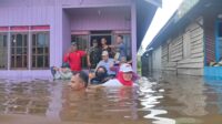 wabup kotim tinjau banjir