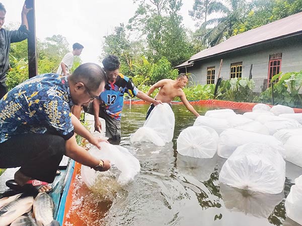 budidaya ikan