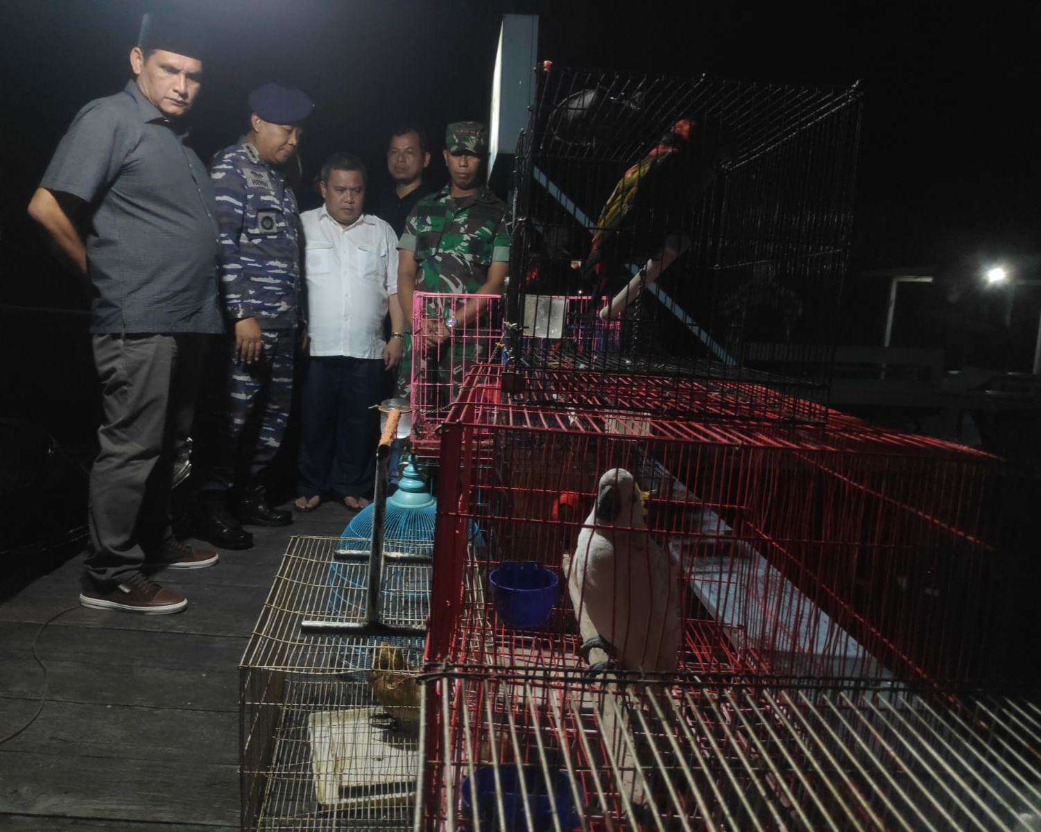 burung selundupan