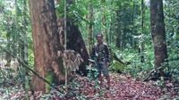 hutan desa tumbang ramei