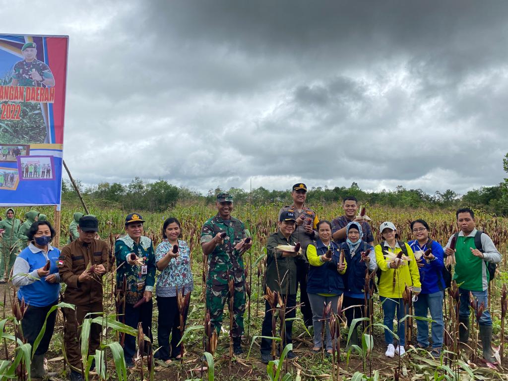 jagung