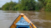 Desa Rungun,Kotawaringin Lama,Kotawaringin Barat,Desa Kondang