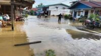 bpbd kapuas,bencana,Kepala BPBD Kapuas Panahatan Sianaga