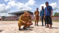 stadion 29 nopember sampit,bupati kotim,rumput