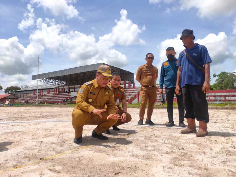 stadion 29 nopember sampit,bupati kotim,rumput