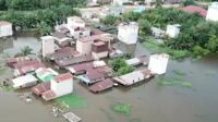 DInas Pertanian Kotim,Lahan Holtikultura,Terdampak banjir