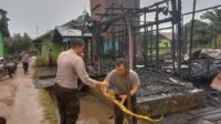 kebakaran katingan