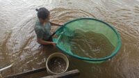 mencari ikan 2