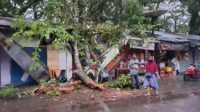 angin kencang,pohon tumbang,taman kota sampit,kabupaten kapuas,palangkaraya,banjir