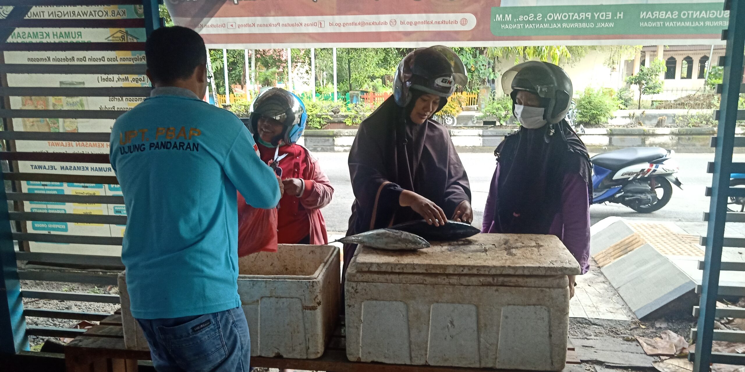 pasar murah,Sampit,ikan segar