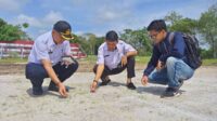 rumput stadion 29 november sampit