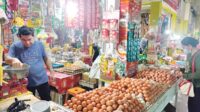 harga telor naik
