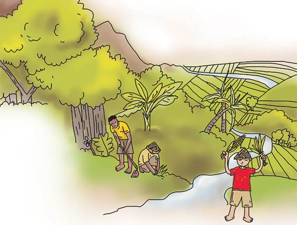 ilustrasi pertanian
