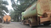 Dinas Perkebunan Kalteng,Harga TBS,CPO,laporan