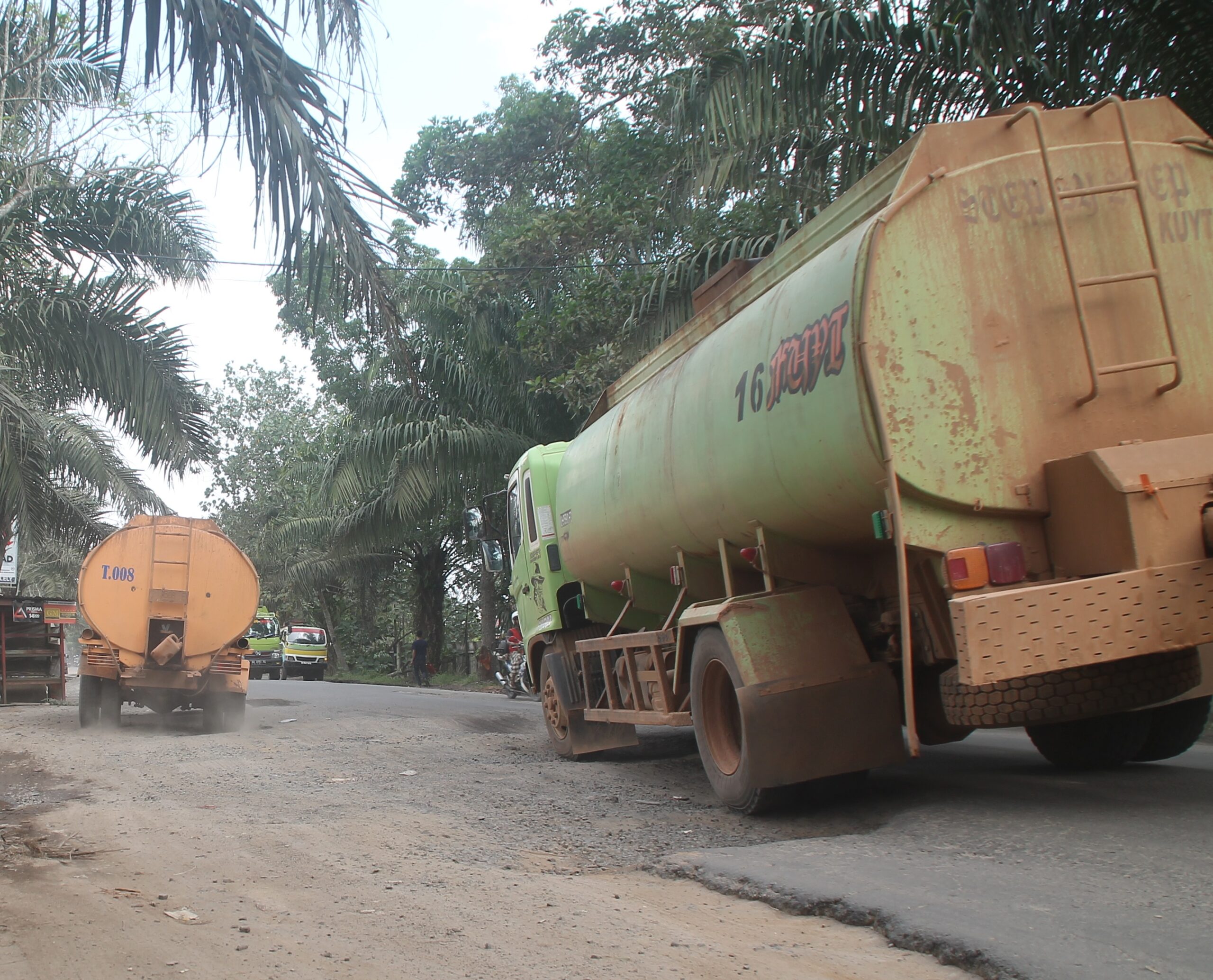Dinas Perkebunan Kalteng,Harga TBS,CPO,laporan
