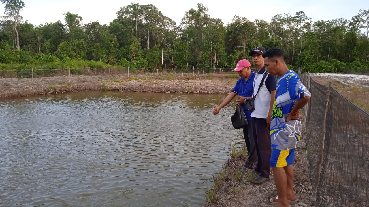 penyuluh perikanan kotawaringin timur,pembudidaya ikan