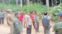 pengecekan hutan tumbang ramei