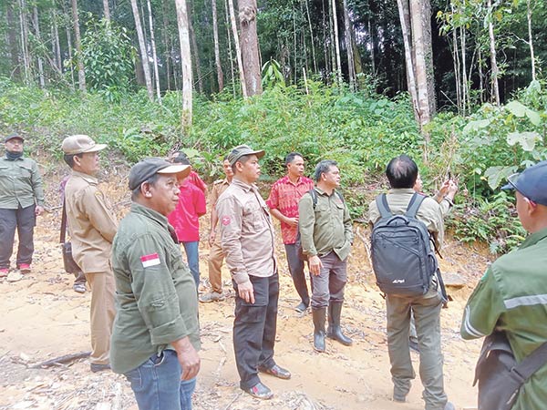 pengecekan hutan tumbang ramei