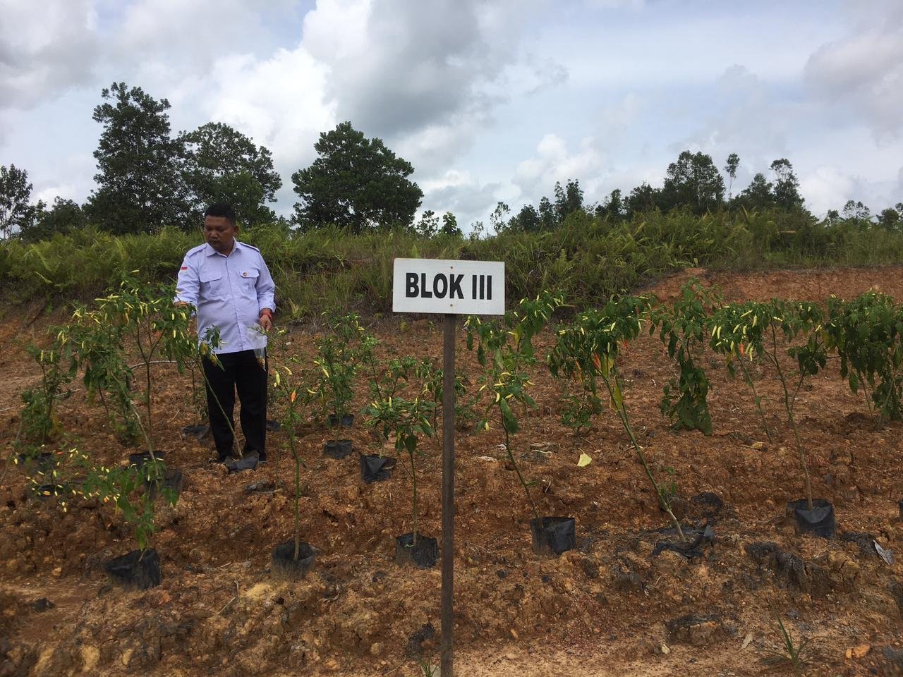 POLRES TANAM LOMBOK polres tanam lombok