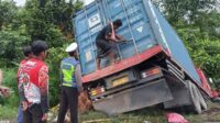 truk peti kemas