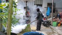 wabah DBD,Kecamatan Baamang,fogging