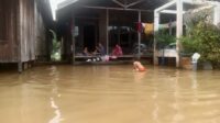DAS Kapuas,Sei Hyang,Kecamatan Dadahup,Desa Lawang Kamah