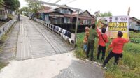 buaya sampit