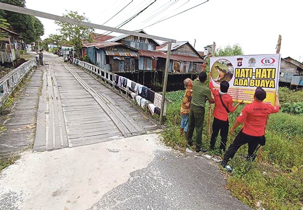 buaya sampit