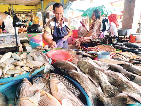 ikan sampit