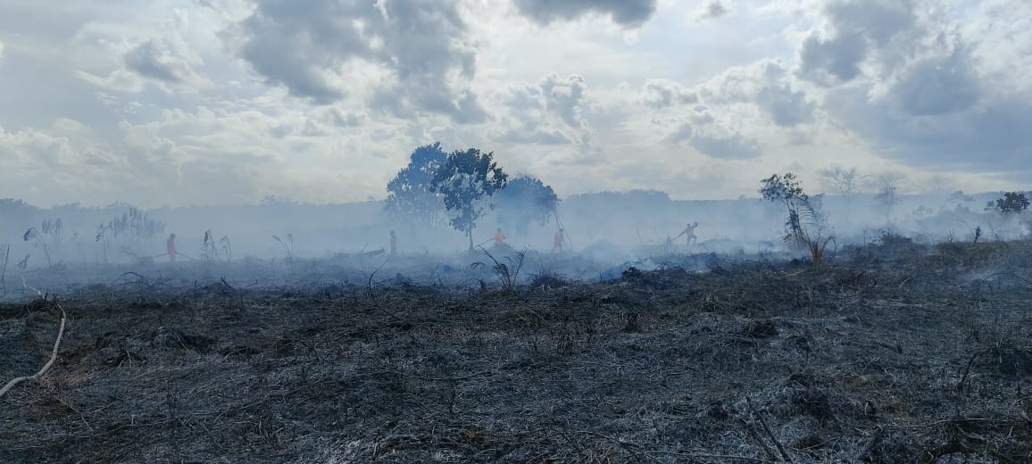 kebakaran natai baru 1