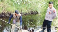 cek lokasi serangan buaya