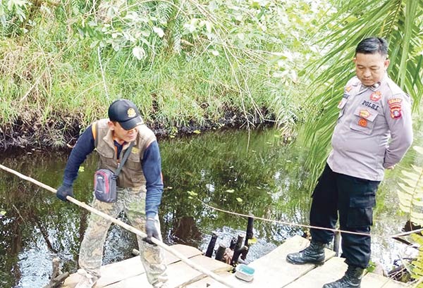 cek lokasi serangan buaya