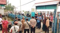 demo pln