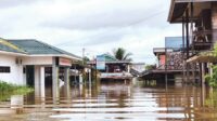 banjir kapuas tengah