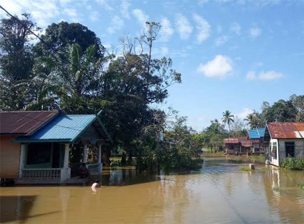banjir katingan