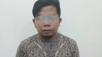 penipu sarang walet