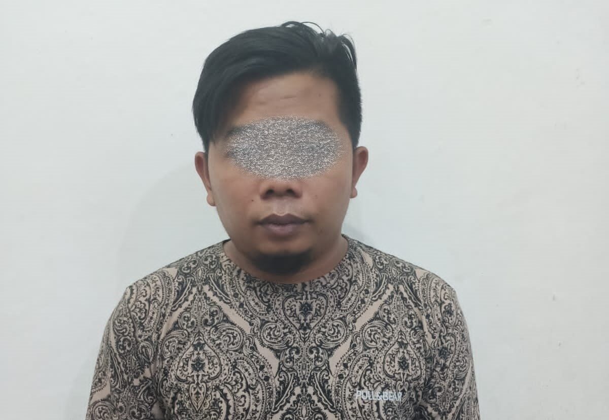 penipu sarang walet