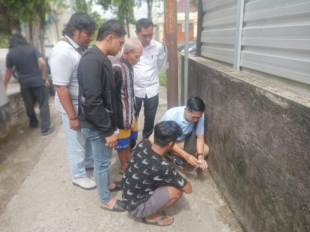 SABU ANGGUR 1 sabu anggur 1