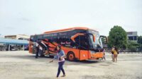 angkutan bus