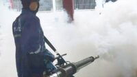 fogging lapas sampit